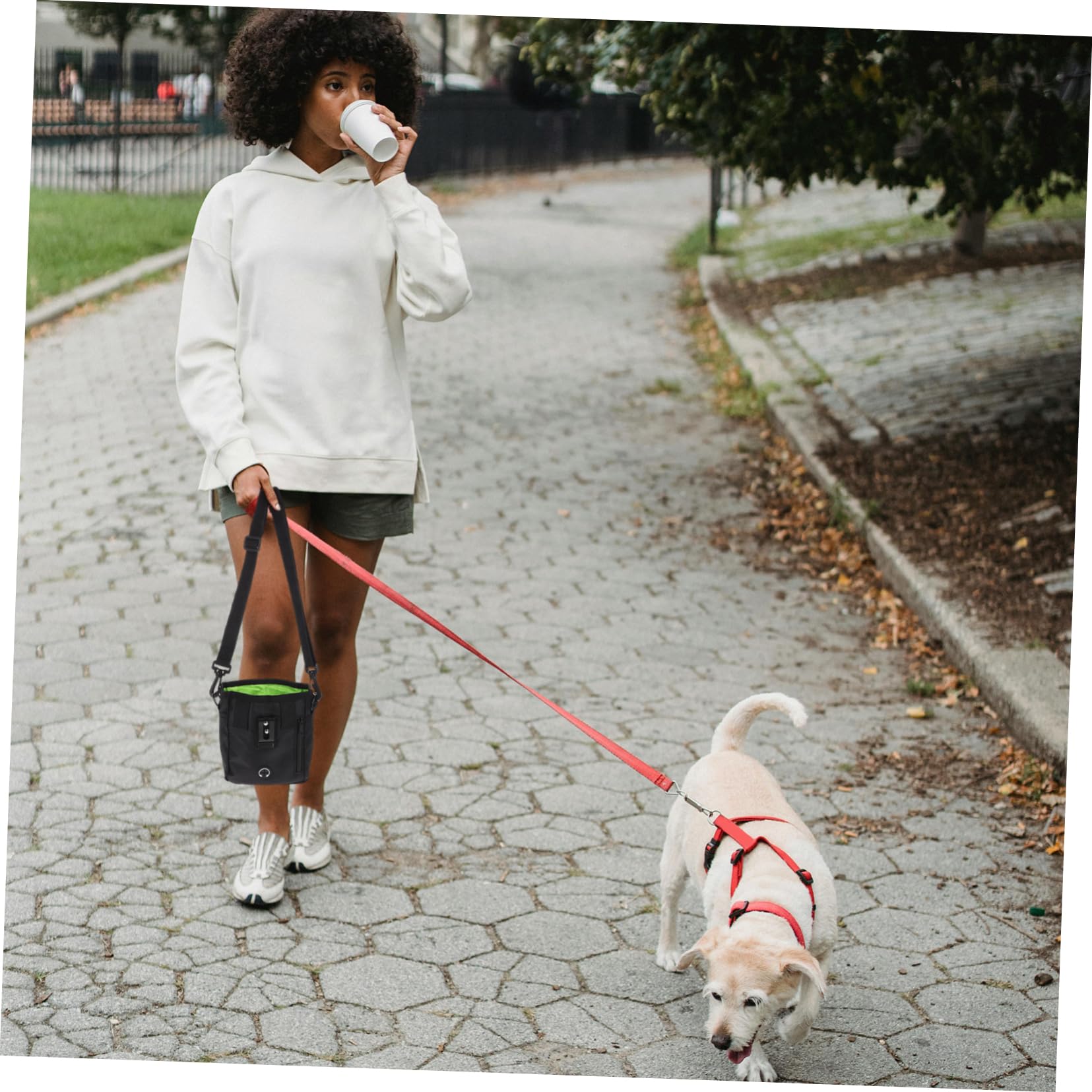 VANZACK Hunde Snackbeutel aus Robustem Material für Leckerlis Snacks Trockenfutter und Spielzeug mit Tragegurt Pfeife und Clicker für Training für Gassi-gänge