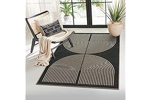 Lahome Modern Rainbow Jute Outside Rug