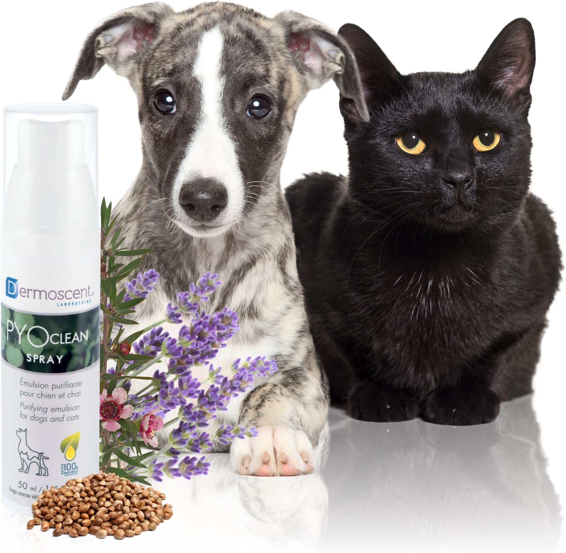 Dermoscent PYOcleanยฎ Spray for Dogs & Cats Balances the Skin, Prevents Pimples, Chin Acne, Reddened Skin & Scabs, 50 ml (1.66 fl. oz.)