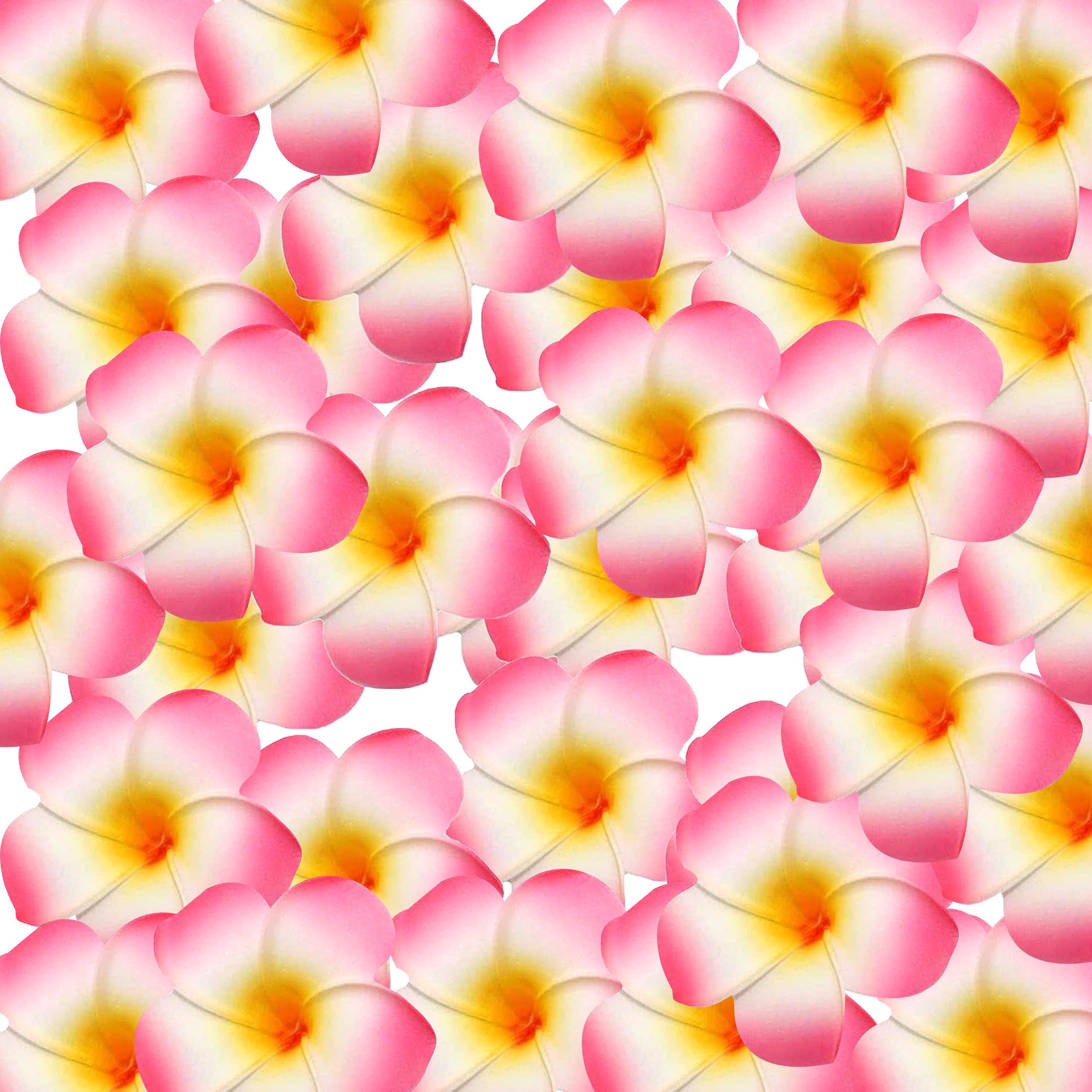 Tied Ribbons Pack Of 30 Artificial Flowers For Decoration Hawaii Flower Plastic Frangipani Flowers For Wedding Anniversary Birthday Festivals Christmas Decorations Items - Multicolor (B07P73L9CR) Amazon Price History, Amazon Price Tracker