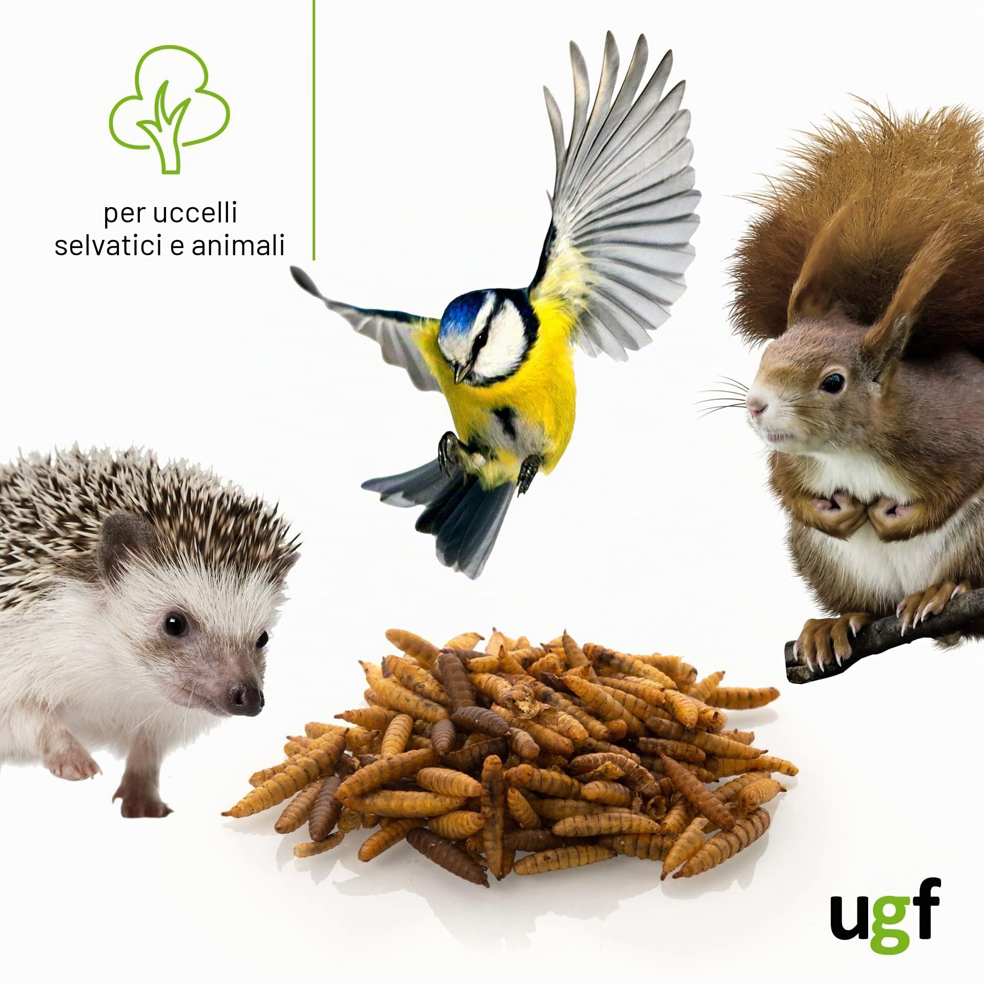 UGF - Hermetia Meglio dei vermi secchi della farina (1 kg) - 85 volte più calcio rispetto ai vermi vivi - bocconcini BSFL per uccelli selvatici, tartarughe, ratti, ricci - larve di soldati essiccati