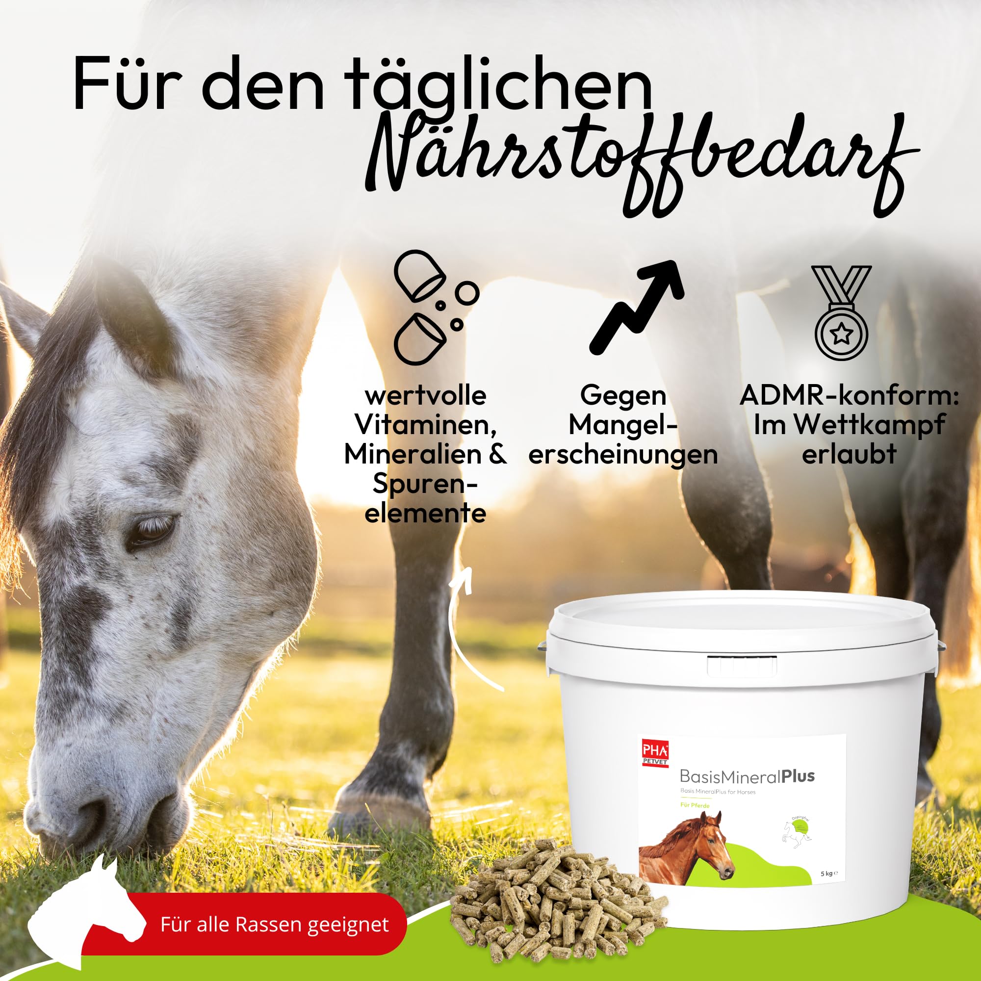 PHA Base Mineral Plus Caballo, Multi Vitaminas, oligoelementos y minerales para Las Necesidades diarias de nutrientes, pellets para Caballos, 5 kg