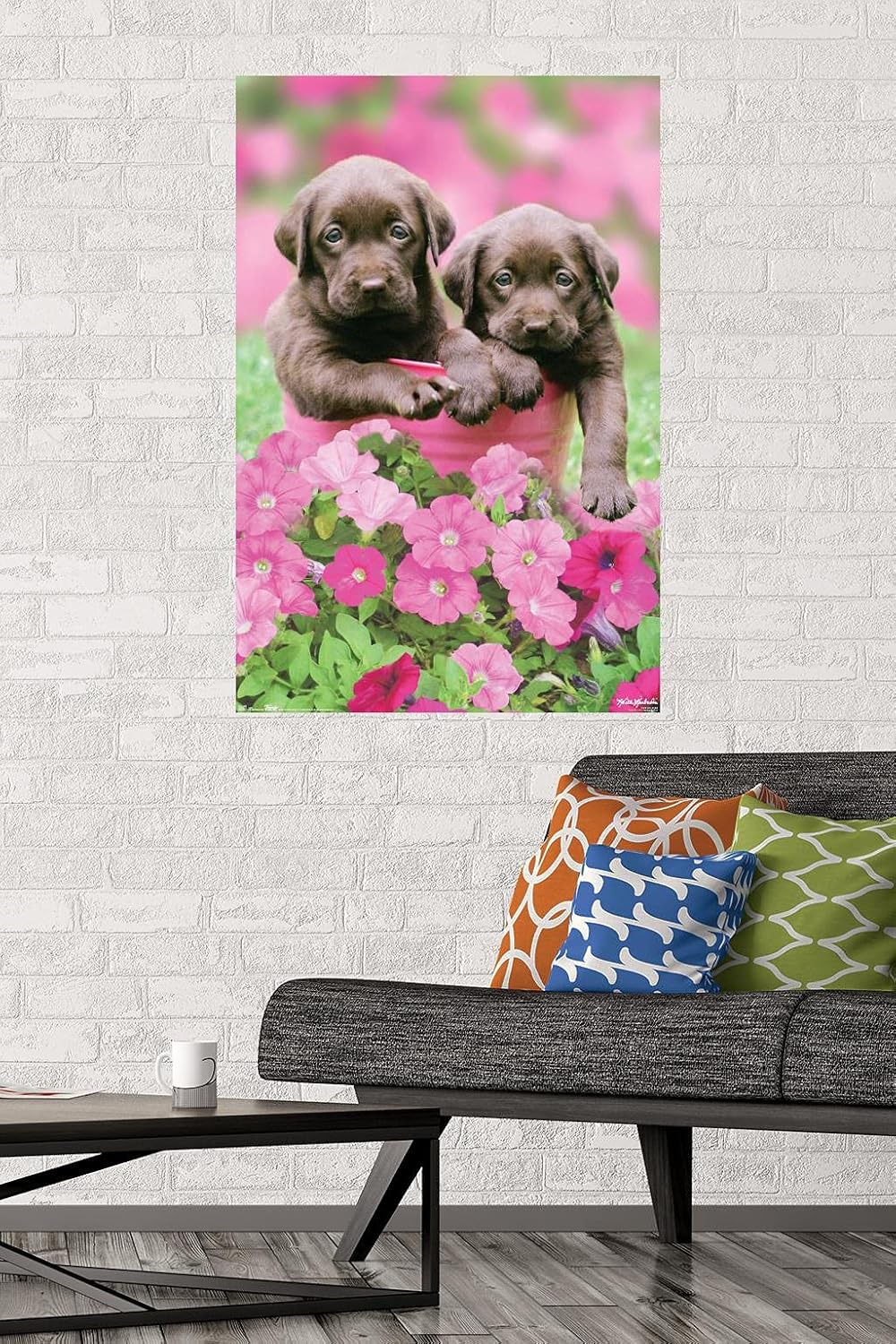Trends International Keith Kimberlin - Labs Wall Poster, 22.375" x 34", Premium Unframed Version image 2