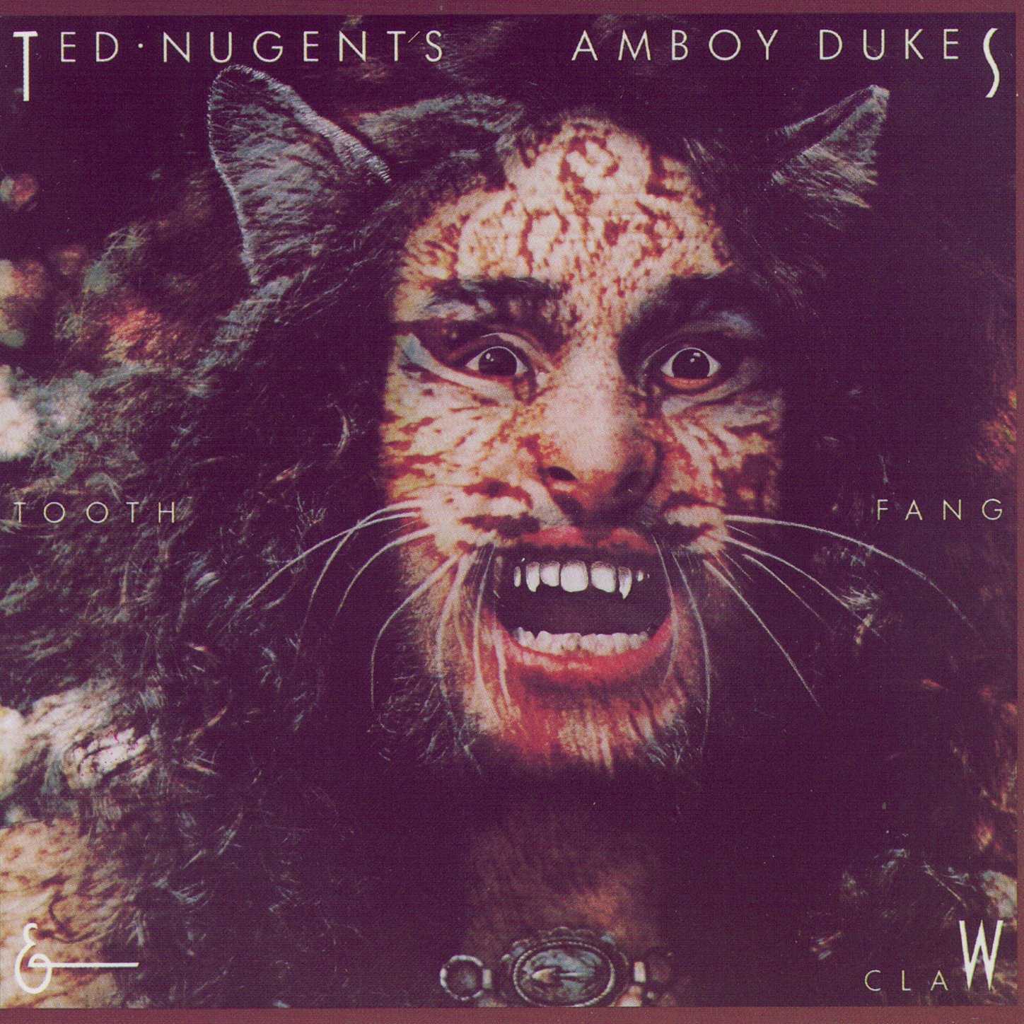Ted Nugent's Amboy Dukes
