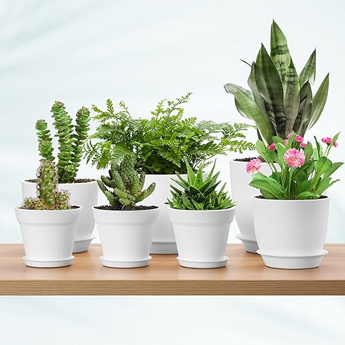 Miniatura 3 de Paquete de 7 macetas de plástico de tamaño mixto, 6.25.44.84.54 pulgadas con agujeros de drenaje y bandeja, macetas de plástico grueso para plantas,