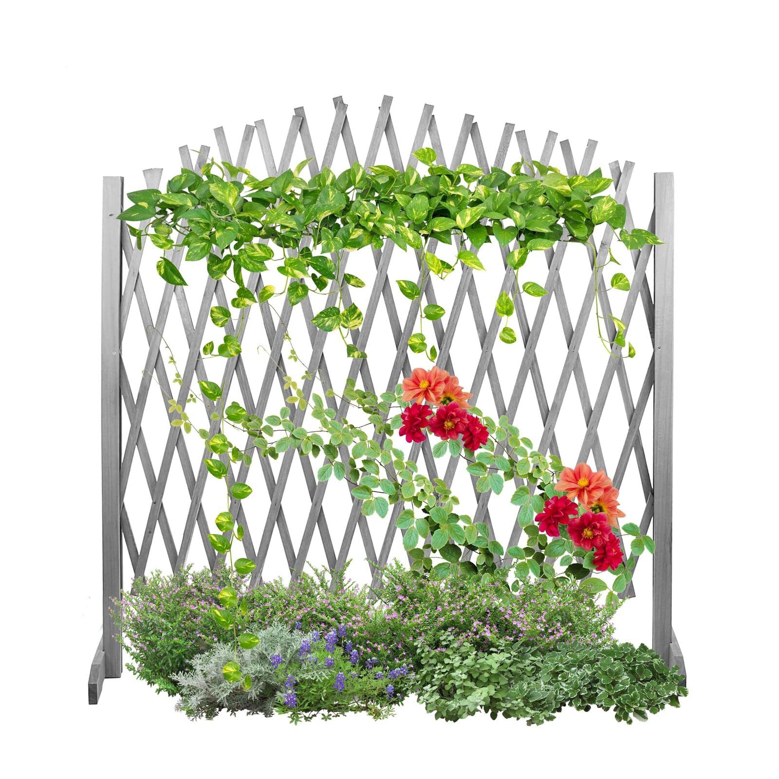 Arched Expanding Freestanding Wooden Trellis Fence Solid Wooden Movable Fence Wood Decorative Lattice Screen Trellis, 105(H) x180(L) cm, Grey โ image 1