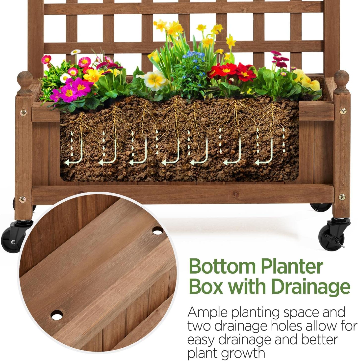 Close-up view of the bottom of the planter box, showing the two drainage holes and the soil with roots.