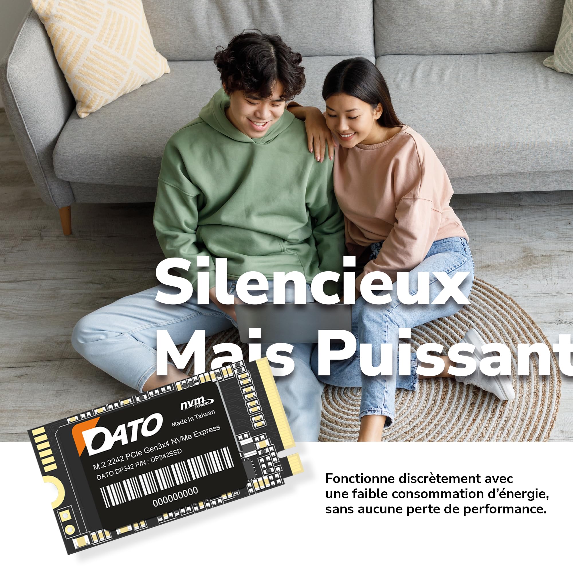 DATO SSD Interne 1 to, PCIe Gen3x4 NVMe M.2 2242 SSD, Jusqu’à 2500/1700 Mo/s - DP342 Série