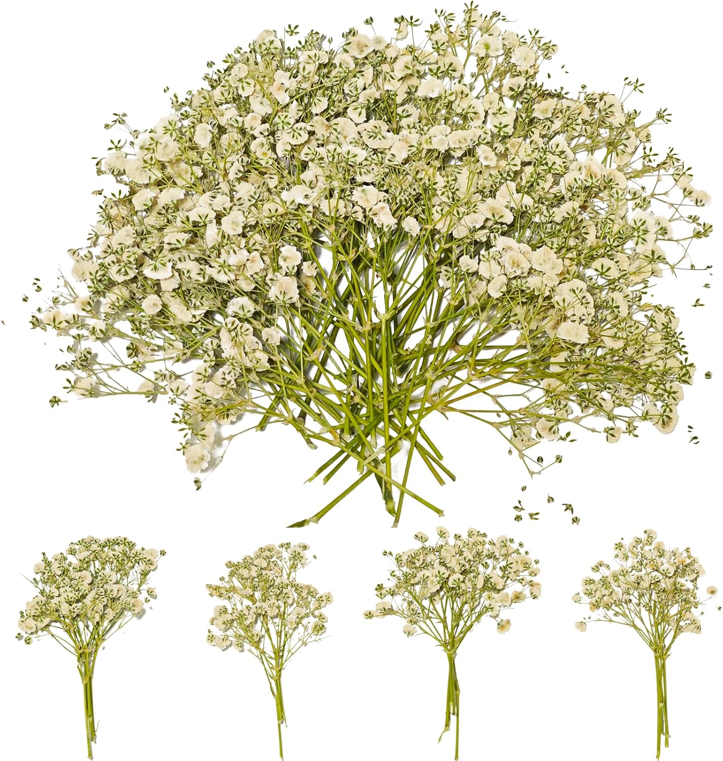 50Pcs Dried Pressed Baby’s Breath Flowers – Mini Gypsophila Flat Pressed Flowers for Resin Art, Wedding Invitations, Jewelry Molds, Candles, Bookmarks, Frames, Soap & DIY Craft Supplies (White)