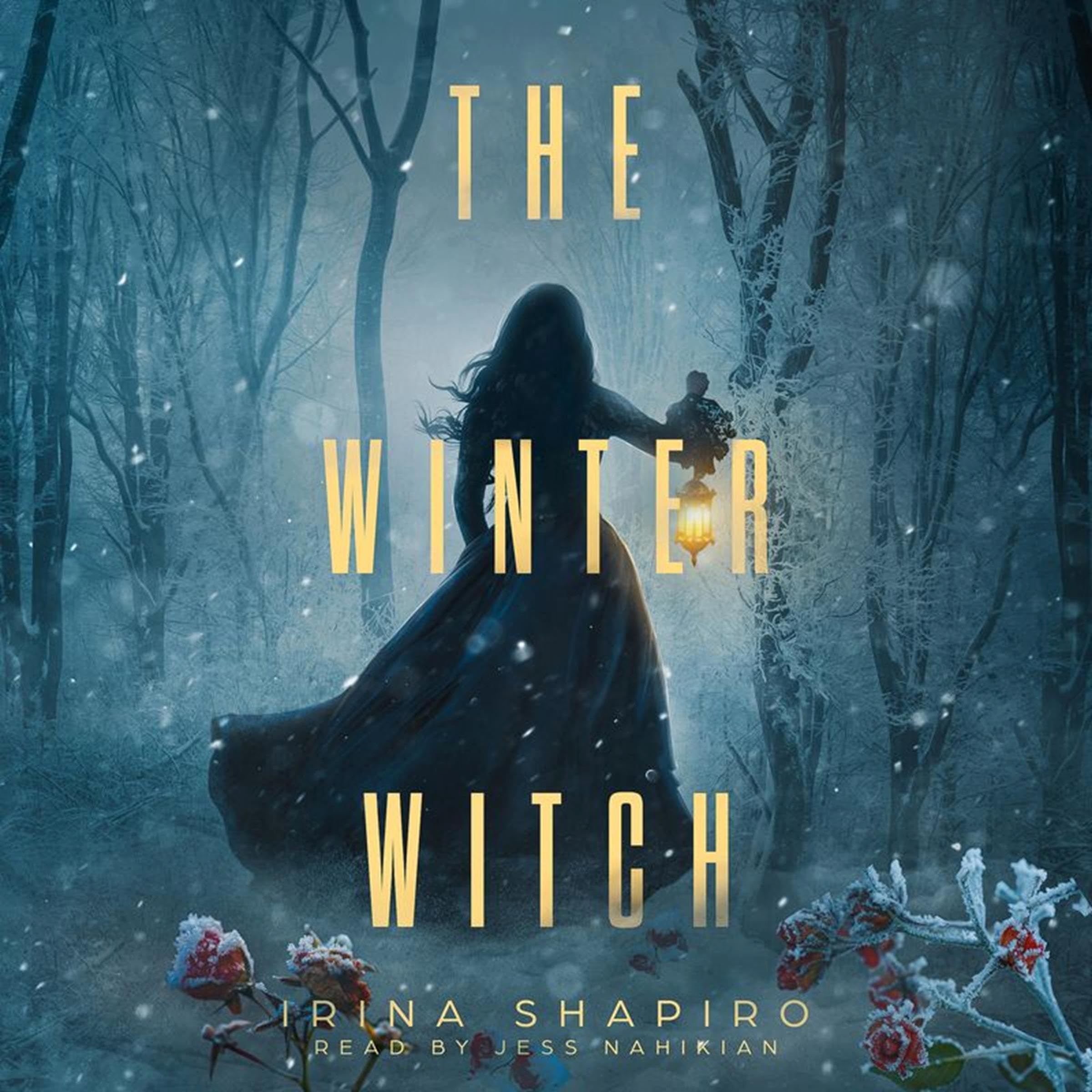 Cover art for The Winter Witch