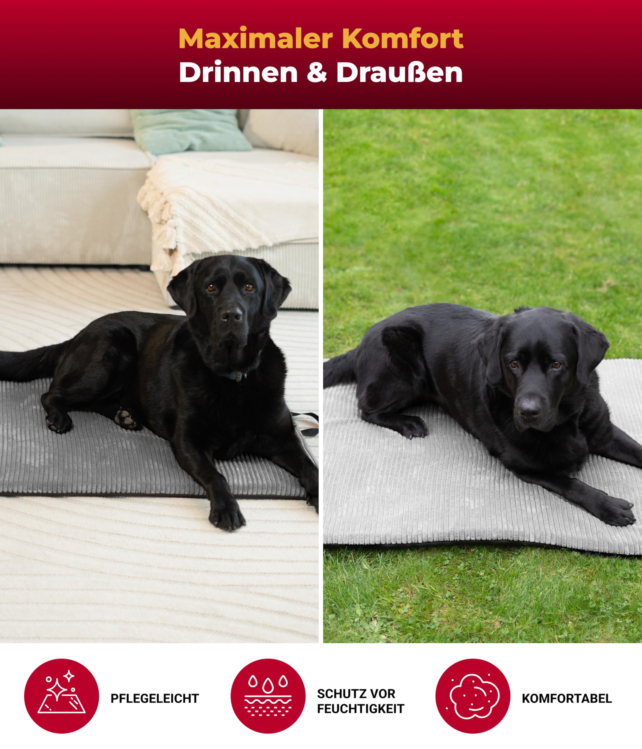 Hundematte In- und Outdoor (85x120 cm) – Bequemes Reisebett – Wasserfeste Unterseite – Waschbar & robust – Anthrazit, Made in Germany