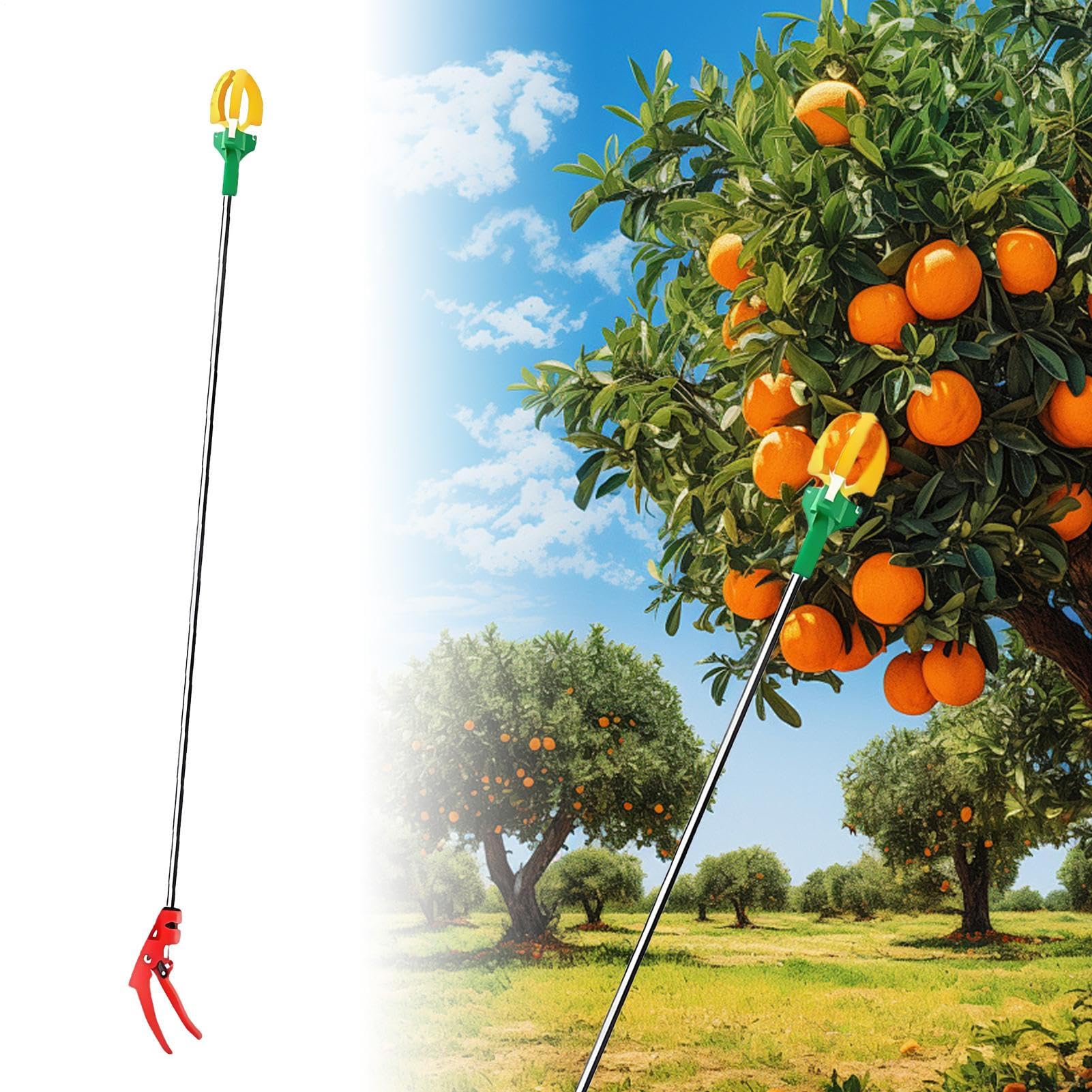Raccoglifrutta,Attrezzo Telescopico a Tre Artigli per Raccogliere Frutta - Assistente Manuale Regolabile per Raccolto in Giardino e Frutteto