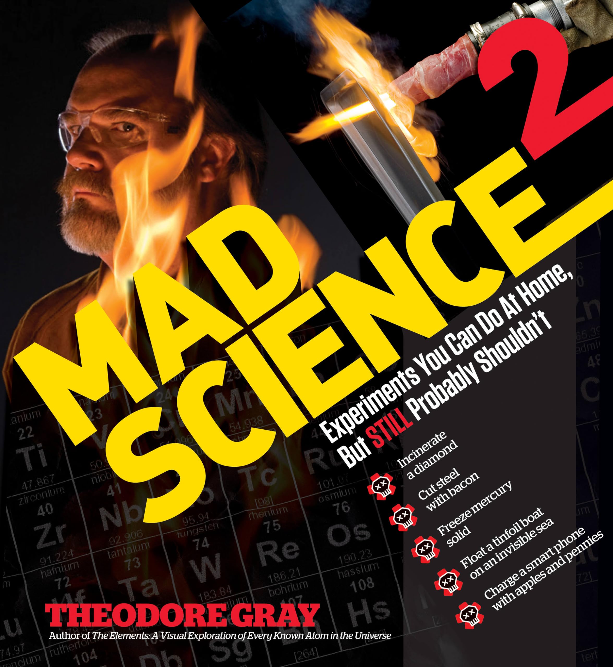 Mad Science 2: Experiments You Can Do At Home, But STILL... - Gray, Theodore