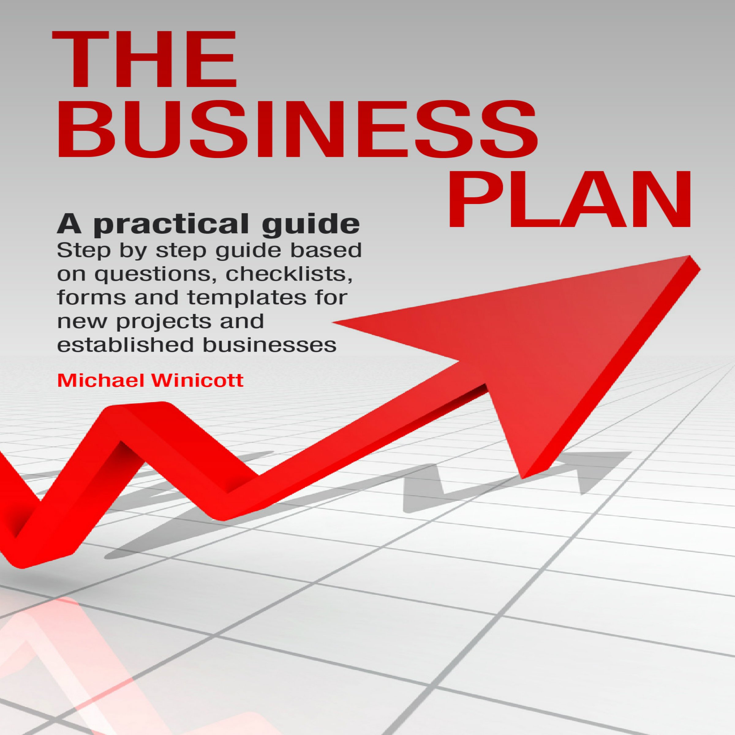 Business Plan - A Practical Guide