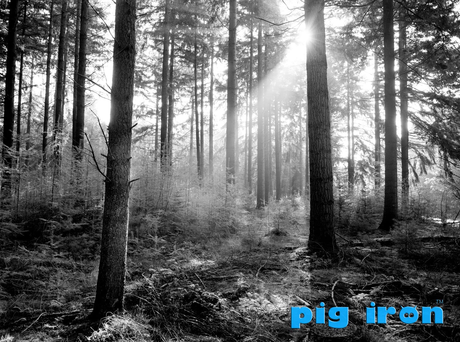 Filtro Giallo Y2 Pro Per Fotografia Bianco E Nero - 58 Mm, Effetti Speciali - Foto 9