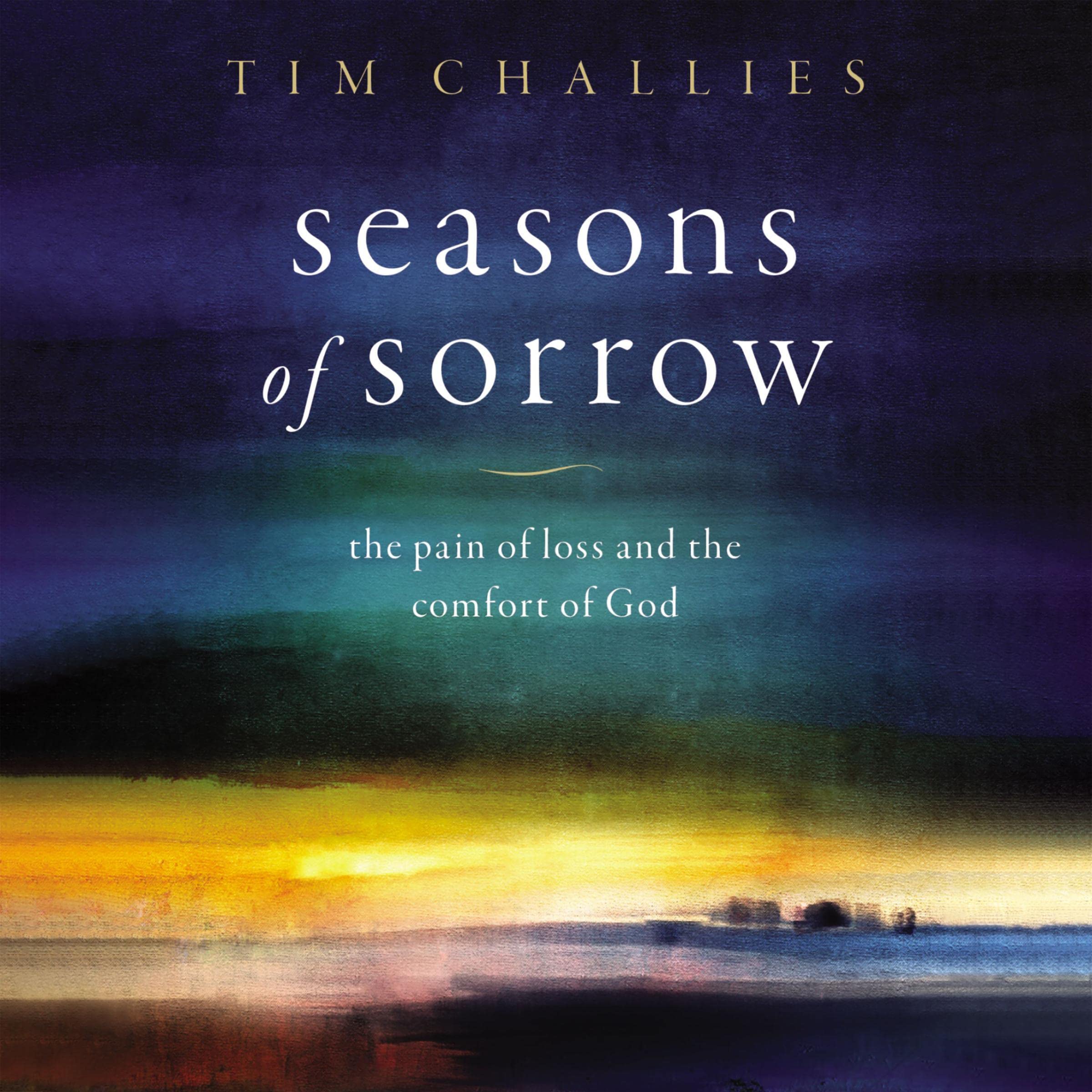 Cover art for Seasons of Sorrow