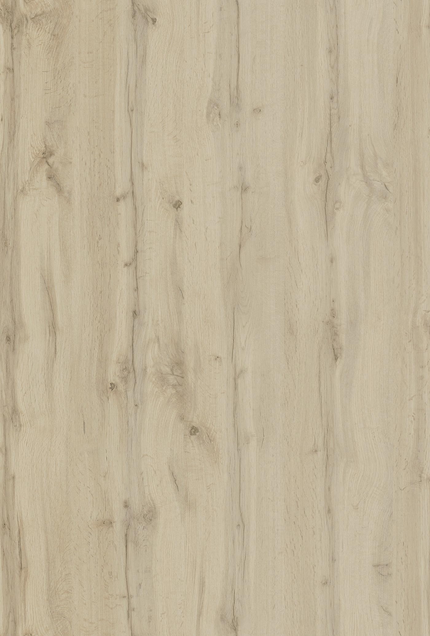 2 portes de placard coulissantes, hauteur 120 cm, largeur 120 cm, décor chêne authentique, profils et rails gris inclus