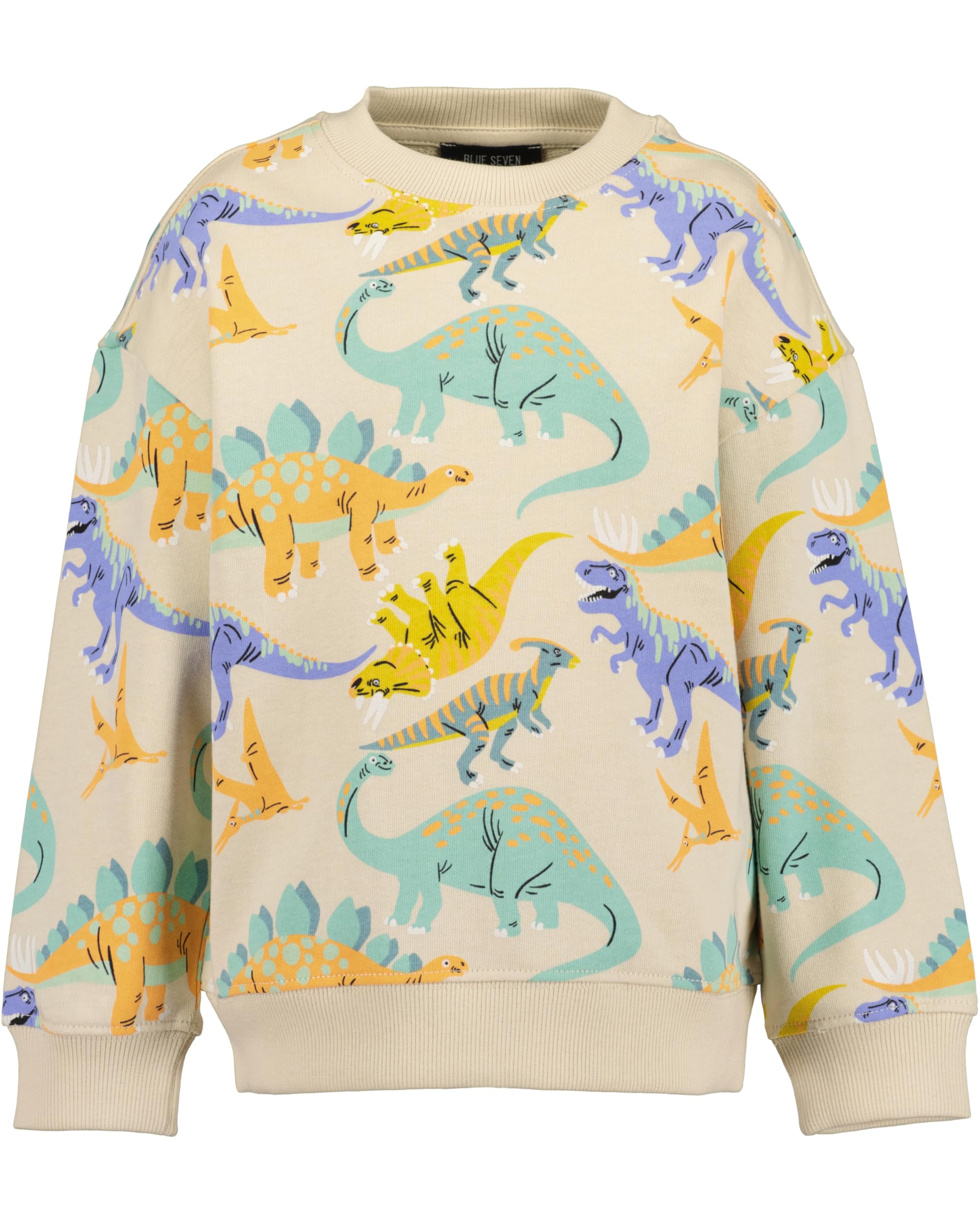Blue Seven Jungen Sweatshirt mit Dinos