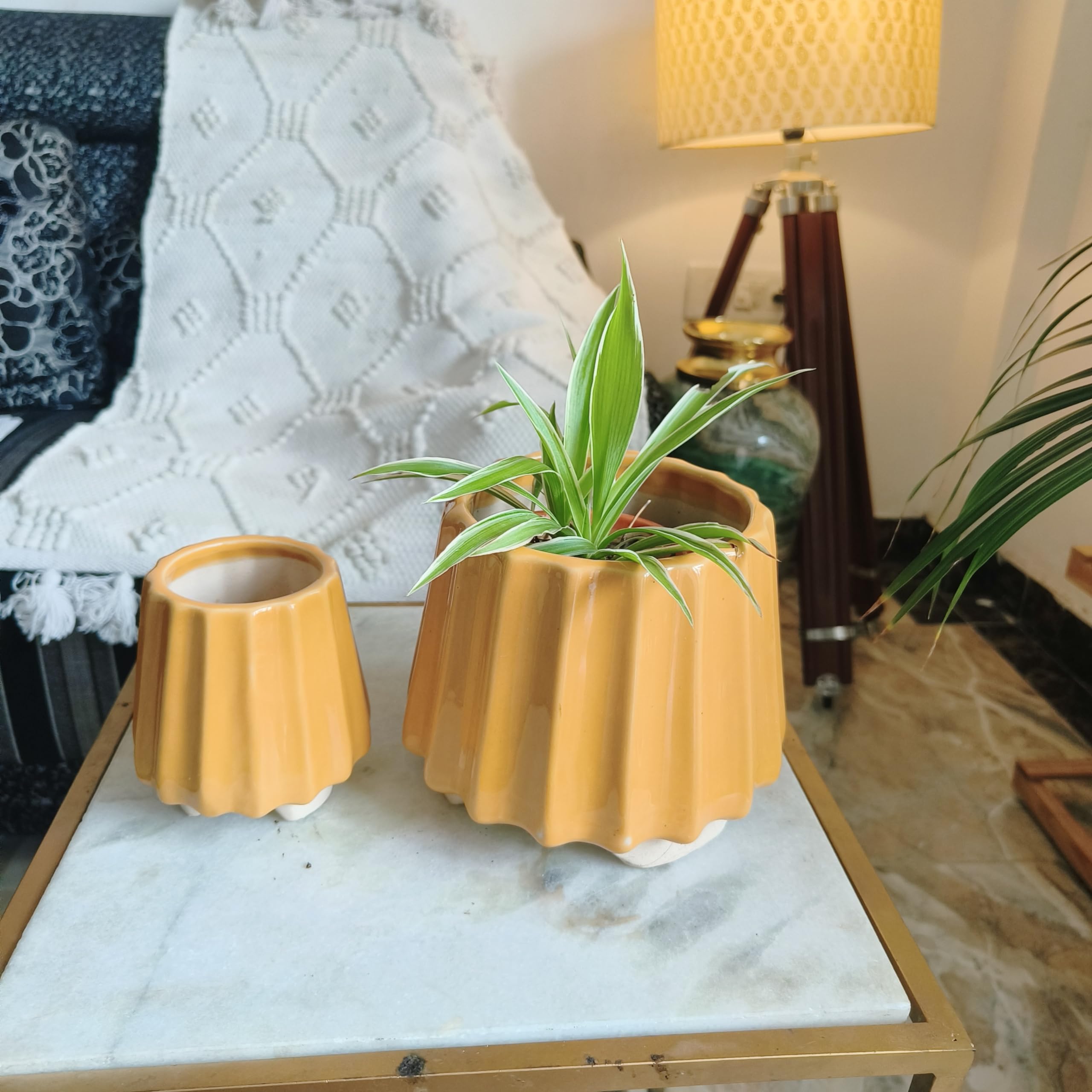 Niyara Colorful Designer Ceramic planters Combo Pot for Indoor Outdoor Home,Garden Office Decor Balcony Flower Size- 14 cm & 11 cm (Wabisabi) (Yellow) (B0CJ6PY2S5) Amazon Price History, Amazon Price Tracker