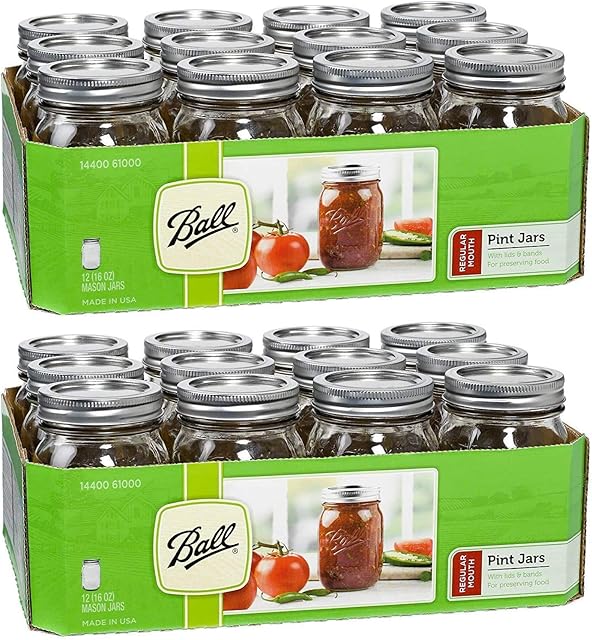 Ball Regular Mouth Pint 16-oz Mason Jar with Lids and Bands (Pack of 24)