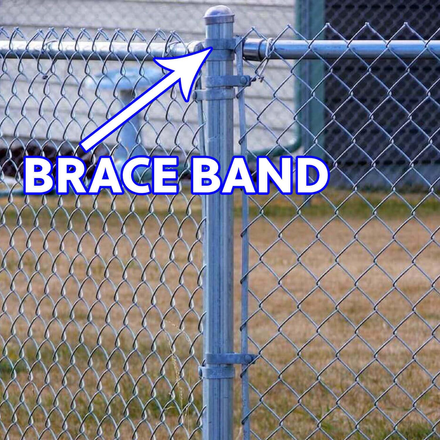 Amazon.com: Jake Sales 4