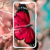 Wild Animal Wallpapers