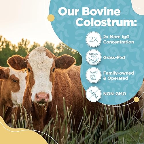 Miniatura 5 de Polvo de calostro bovino  40% IgG altamente concentrado calostro bovino puro para humanos  Suplemento de calostro alimentado con pasto para apoyo