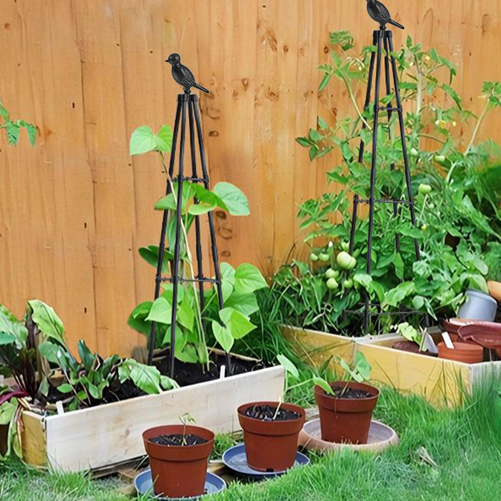 Tuteur Obélisque de Jardin Support Obélisque Métallique
