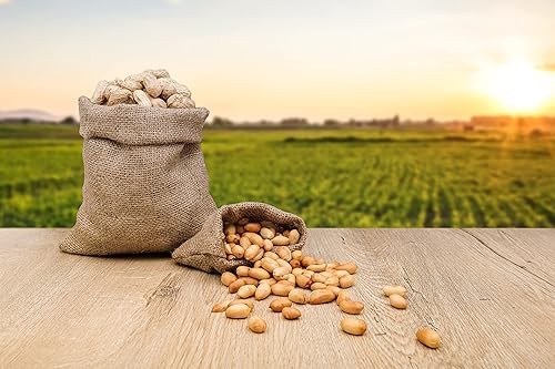 Miniatura 3 de Fruidles Cacahuetes crudos, cacahuetes crudos en cáscara, ideal para hervir, alimentación de ardillas, alimentación de pájaros y vida silvestre,