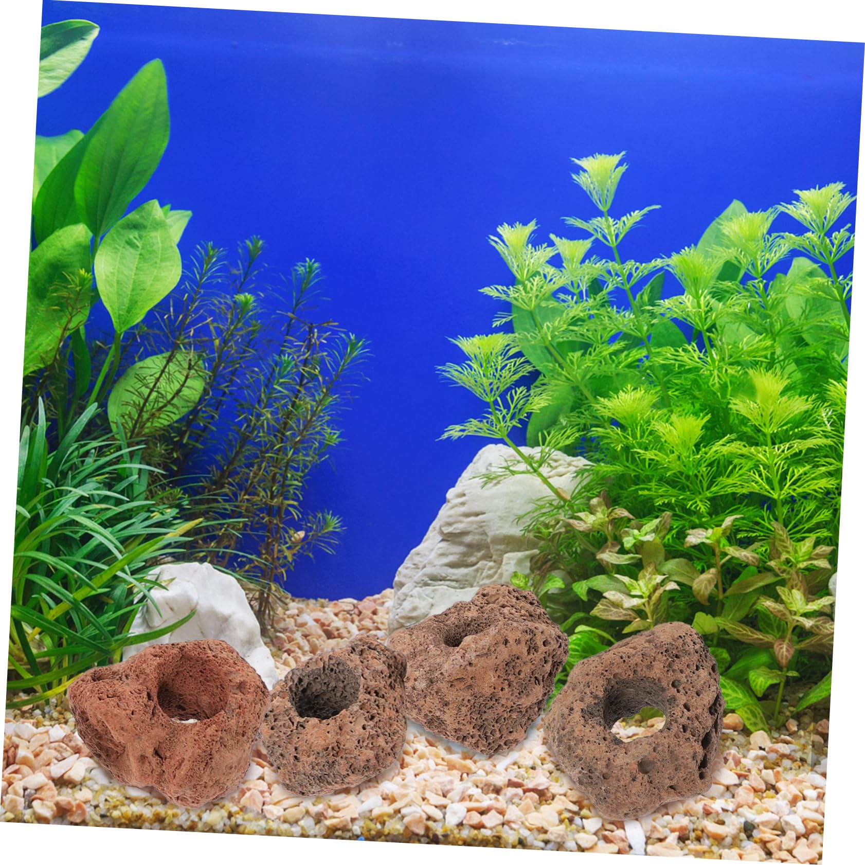 minkissy 10stücke Vulkanstein Aquarium Versteck Für Fische Naturstein Höhle Für Fischtanks Langlebig Einfach Zu Reinigen Mit Löchern Für Spiel Und Versteckmöglichkeiten Für