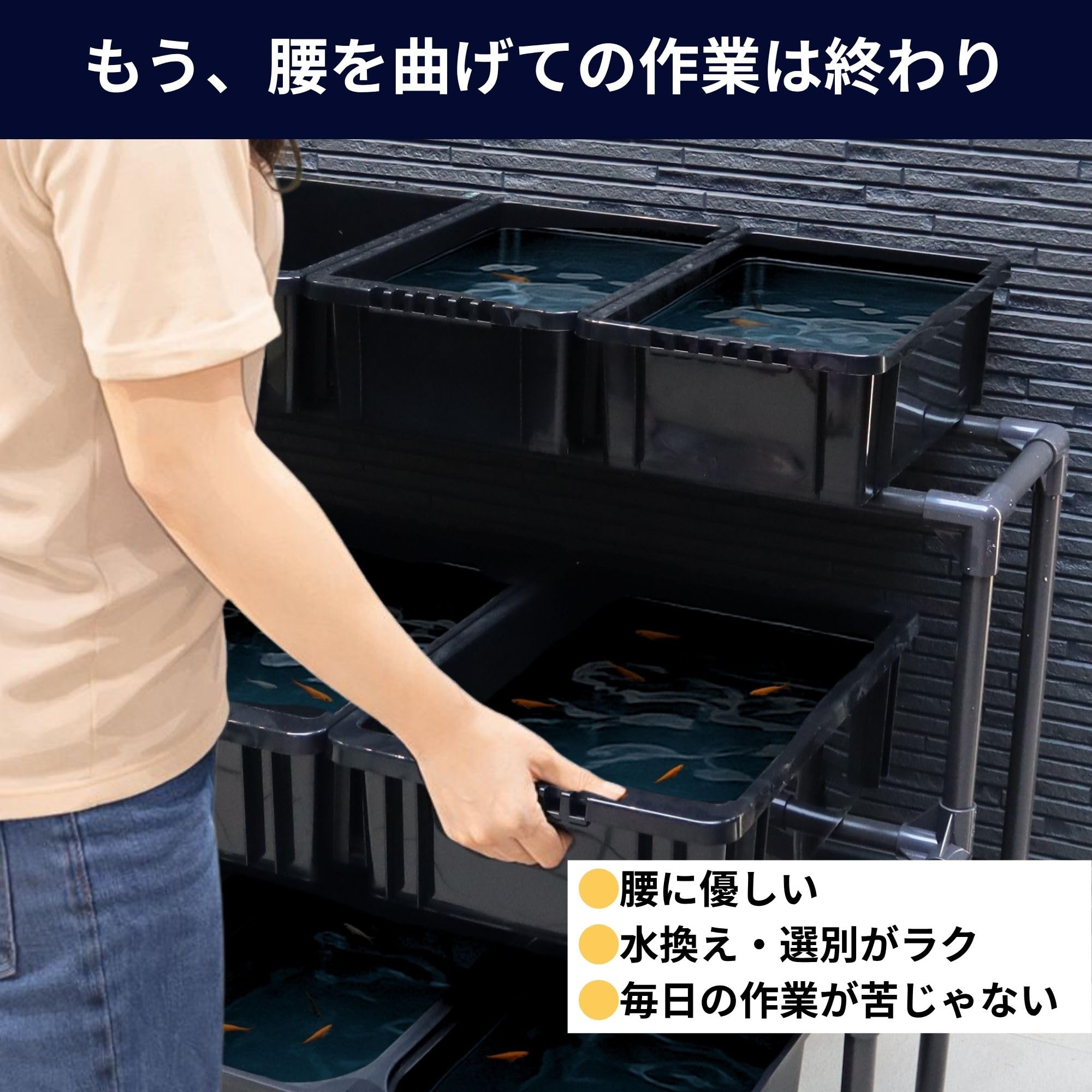 Amazon.co.jp: メダカ飼育ラック (NV BOX 13専用 2段ワイドタイプ