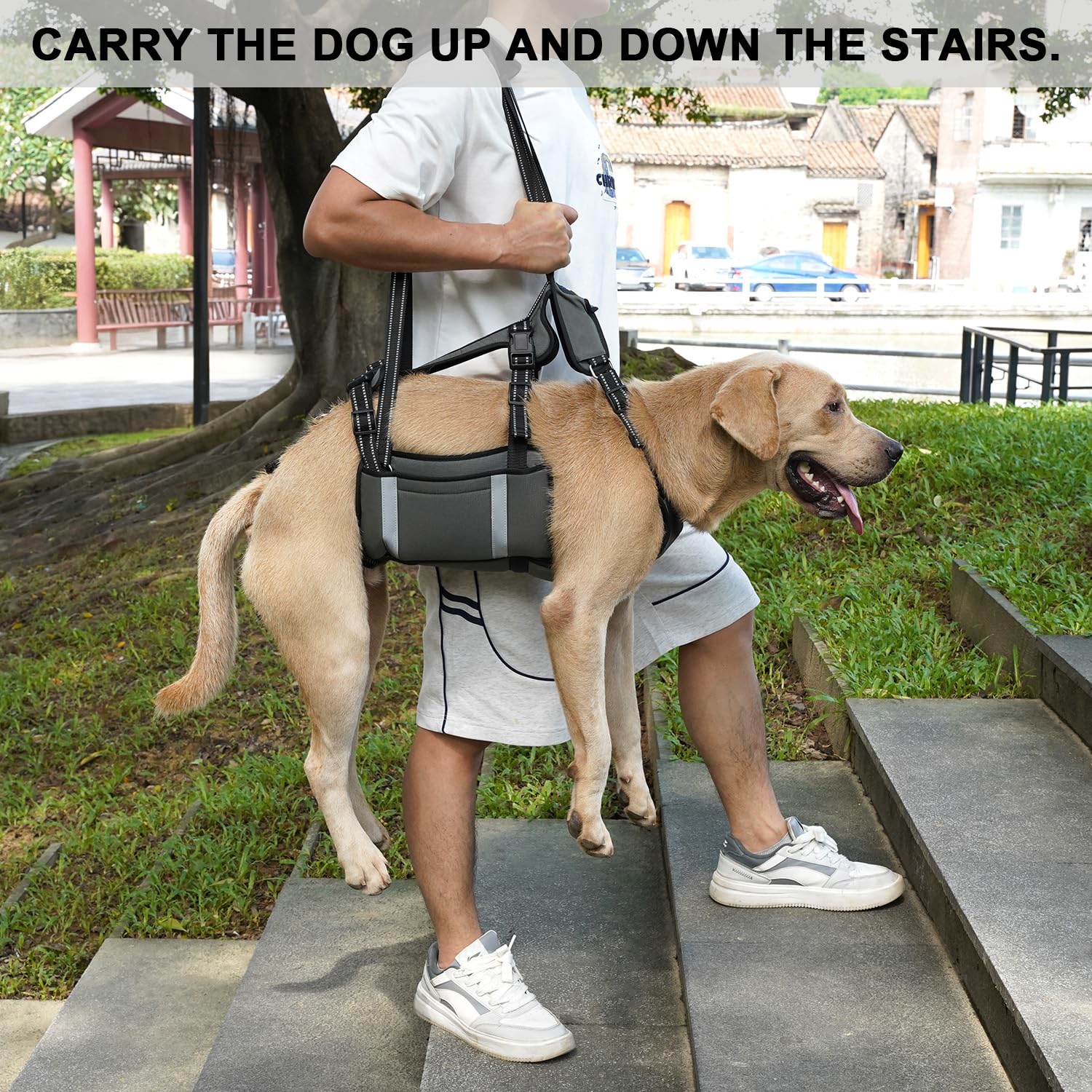 COODEO Harnais de Transport d'urgence pour Chien, Support de Jambe arrière pour Animal Domestique, Gilet de rééducation, Transport pour Chiens âgés, blessures articulaires, arthrite(Vert,L)