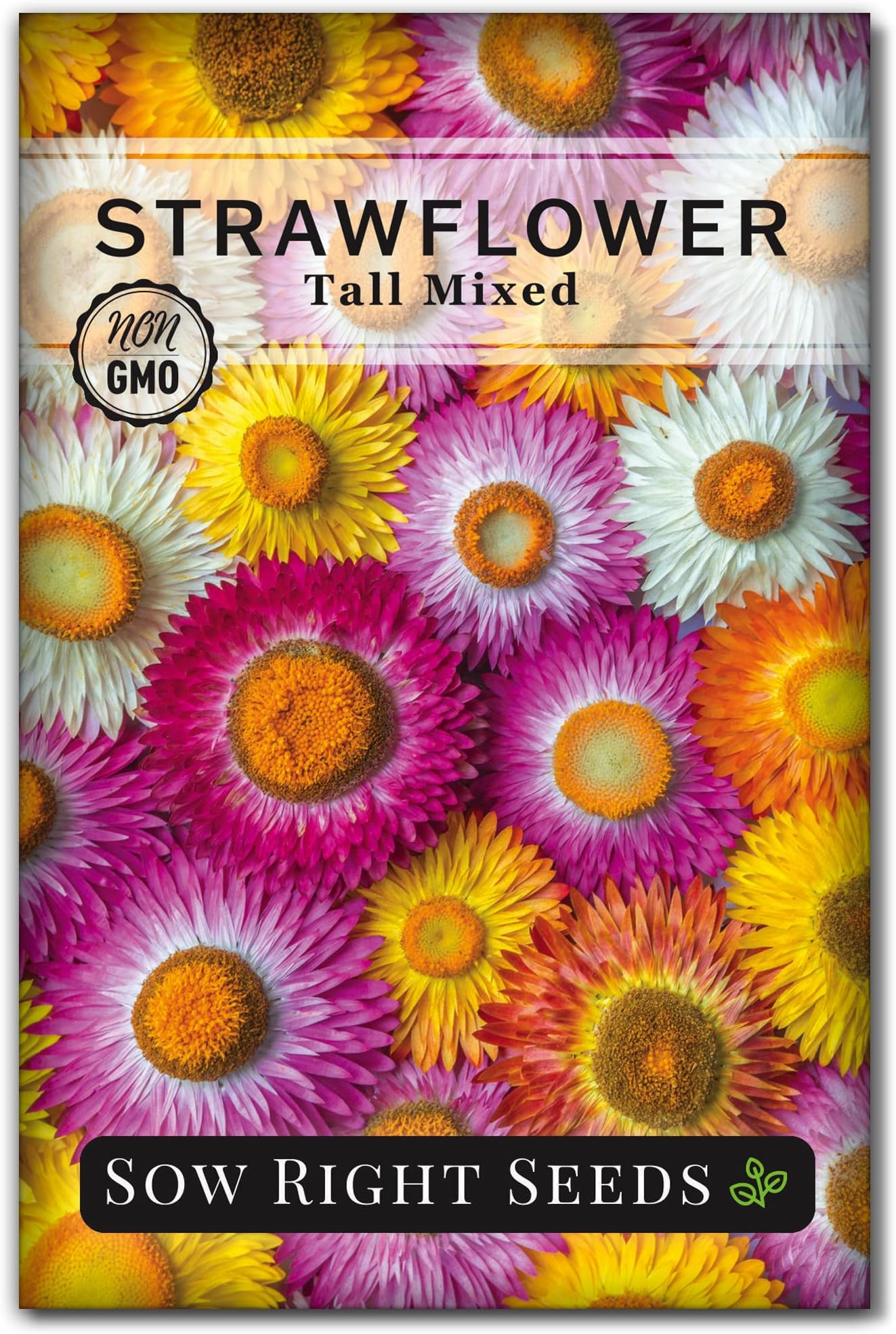 Sow Right Seeds - Tall Mixed Strawflower Seeds - Non-GMO Heirloom Packet with Instructions to Grow - Beautiful to Plant in Your Flower Garden - Cut Flower Favorite - Wonderful Gardening Gift (1)