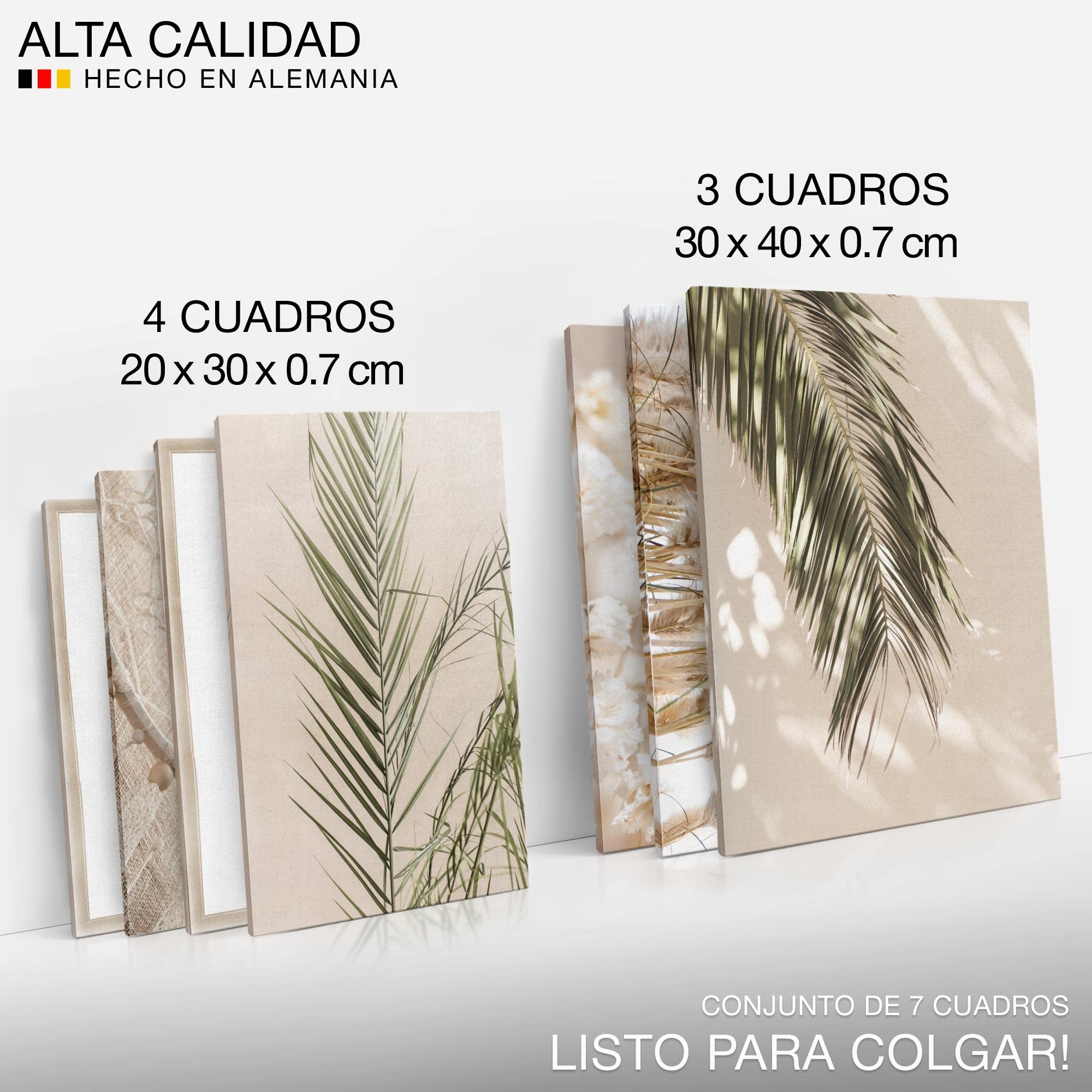 Novart Set Cuadros Decorativos - COMPLETAMENTE LISTO PARA COLGAR - Imágenes - Hierba Boho Pampas - 7 Partes - N005871a
