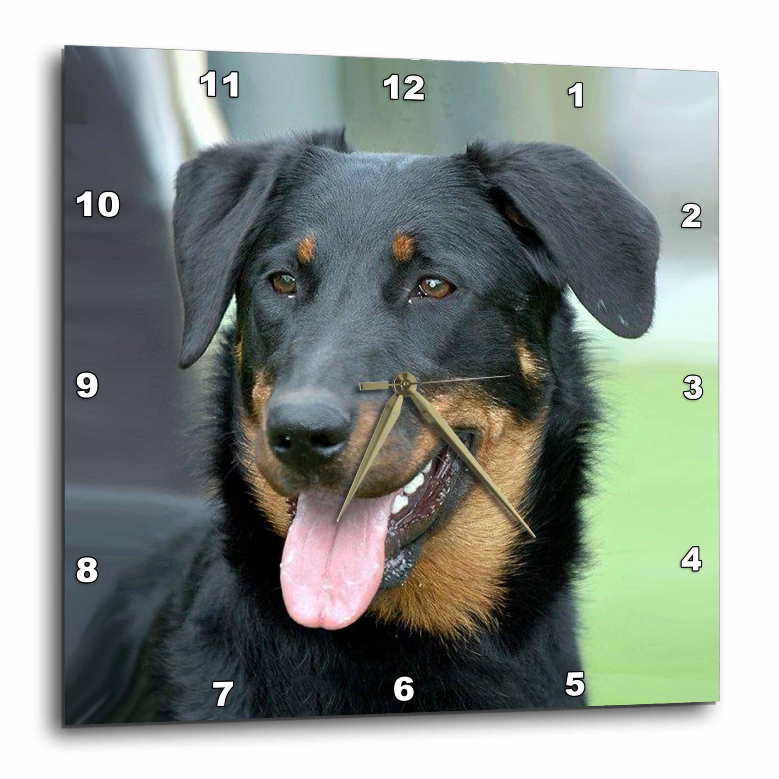 Horloge Beauceron 3dRose en aluminium multicolore pour sublimer votre salon