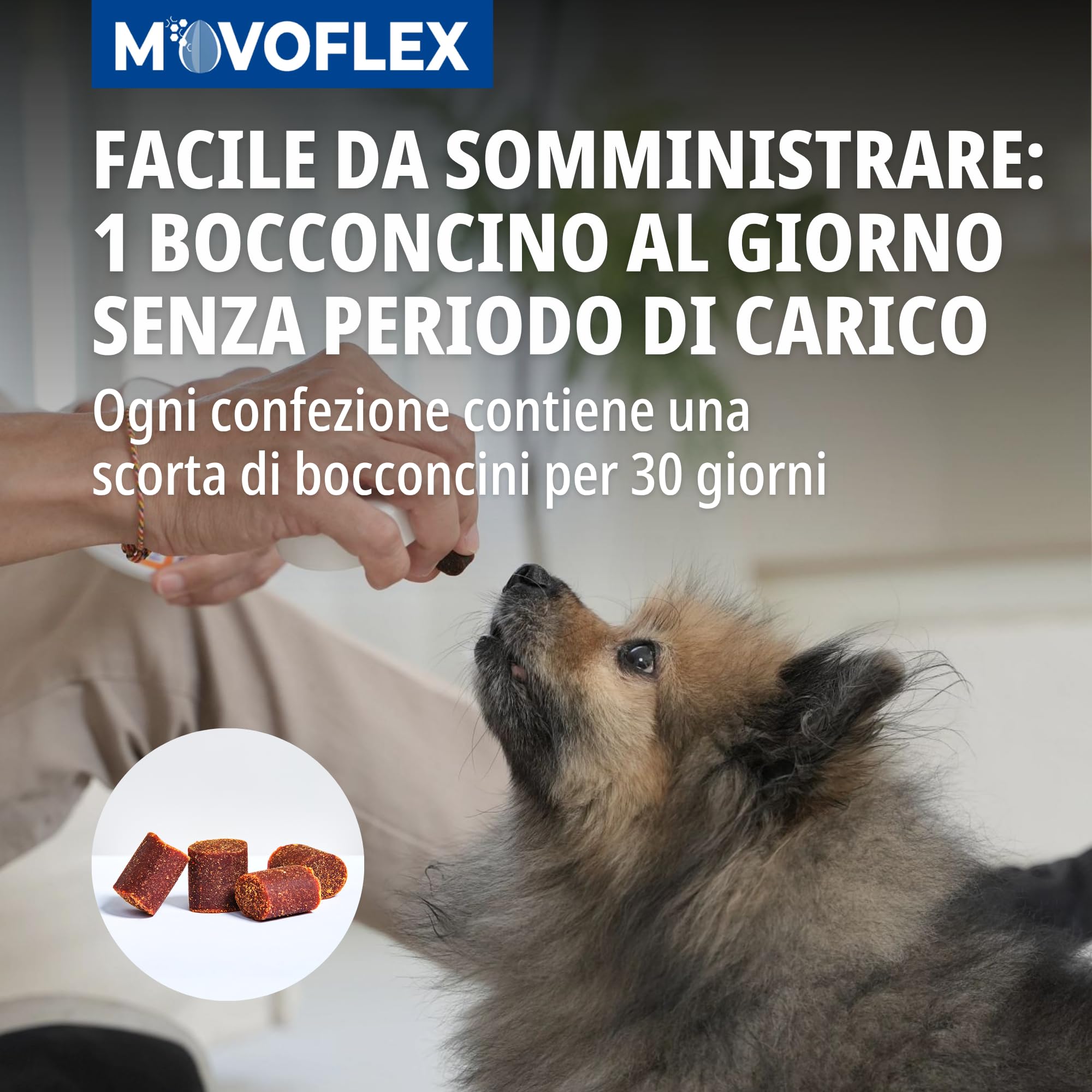 Virbac sac MOVOFLEX S 2G X30 Chews