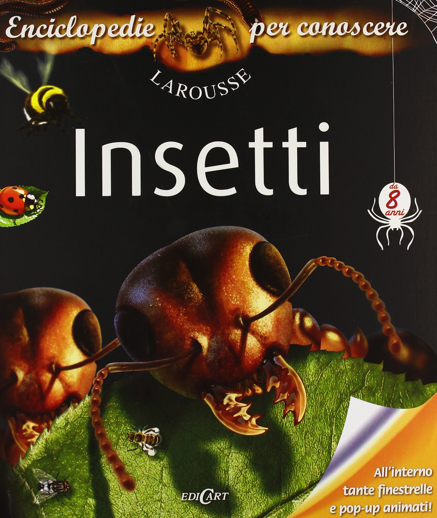 Insetti. Libro pop-up. Ediz. illustrata