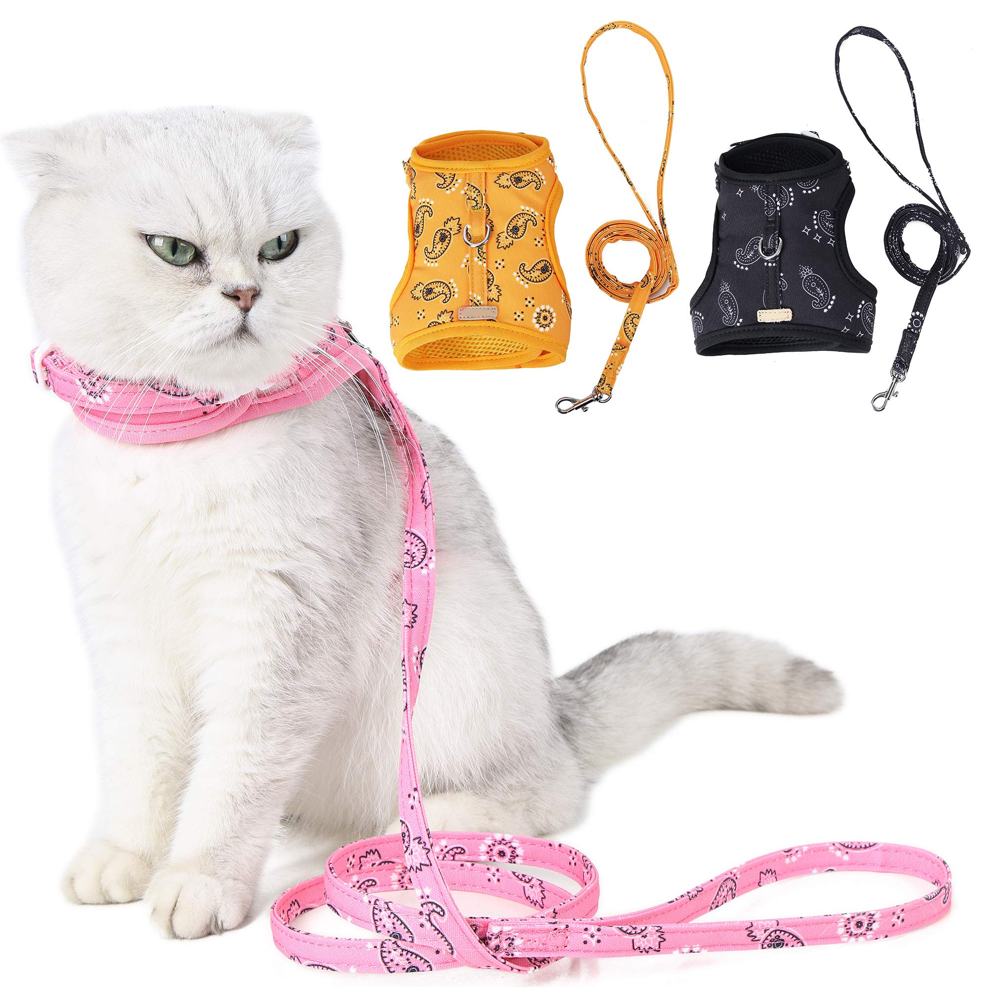 Harnais et Laisse pour Chat pour la Marche, Harnais de Marche réglable pour Chat, Ensemble de Laisse, Gilet d'extérieur Facile à contrôler Little Surprise