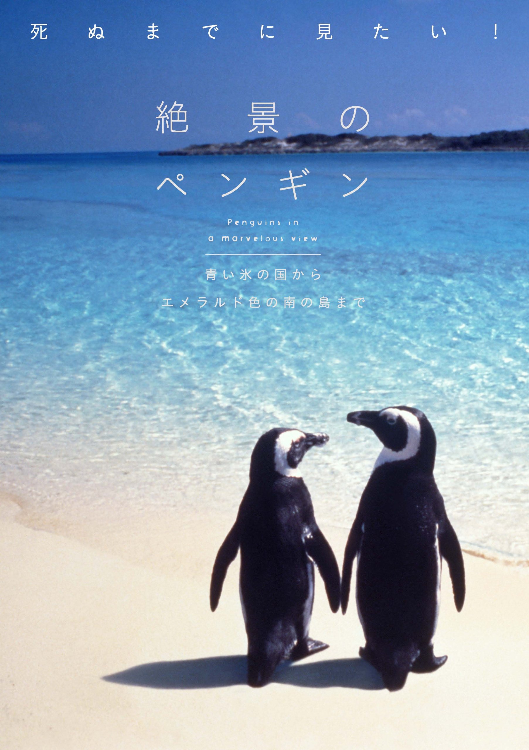 死ぬまでに見たい! 絶景のペンギン | 澤井聖一 |本 | 通販 | Amazon