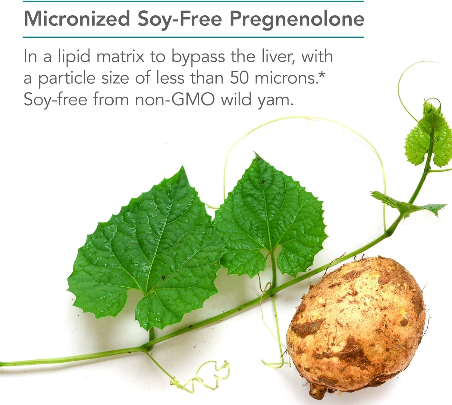 Nutricology Pregnenolone Supplement - Progesterone Supplements, Hormone & Stress Support, Made from Non-GMO Wild Yam, Micronized Lipid Matrix, Plant-Sourced, 50mg Scored Tablets - 60 Count - Image 5