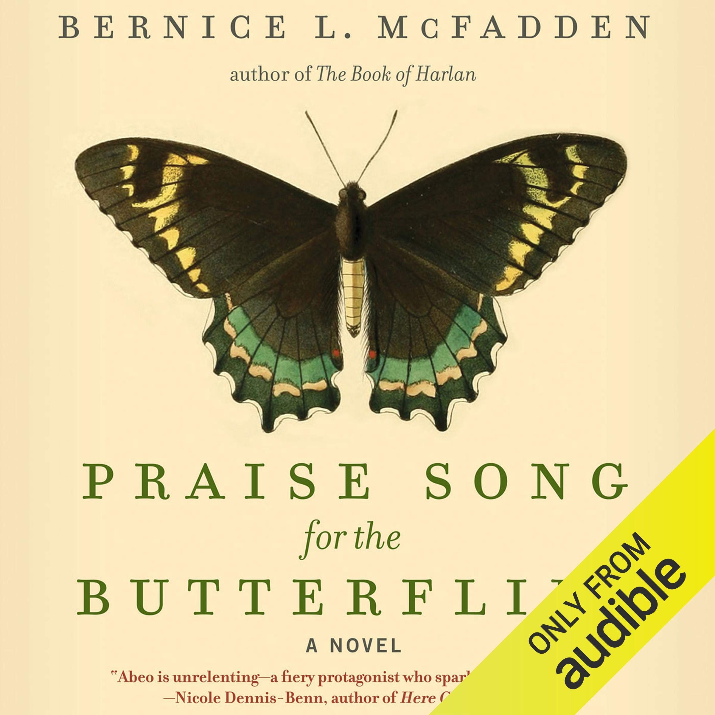 Cover art for Praise Song for the Butterflies
