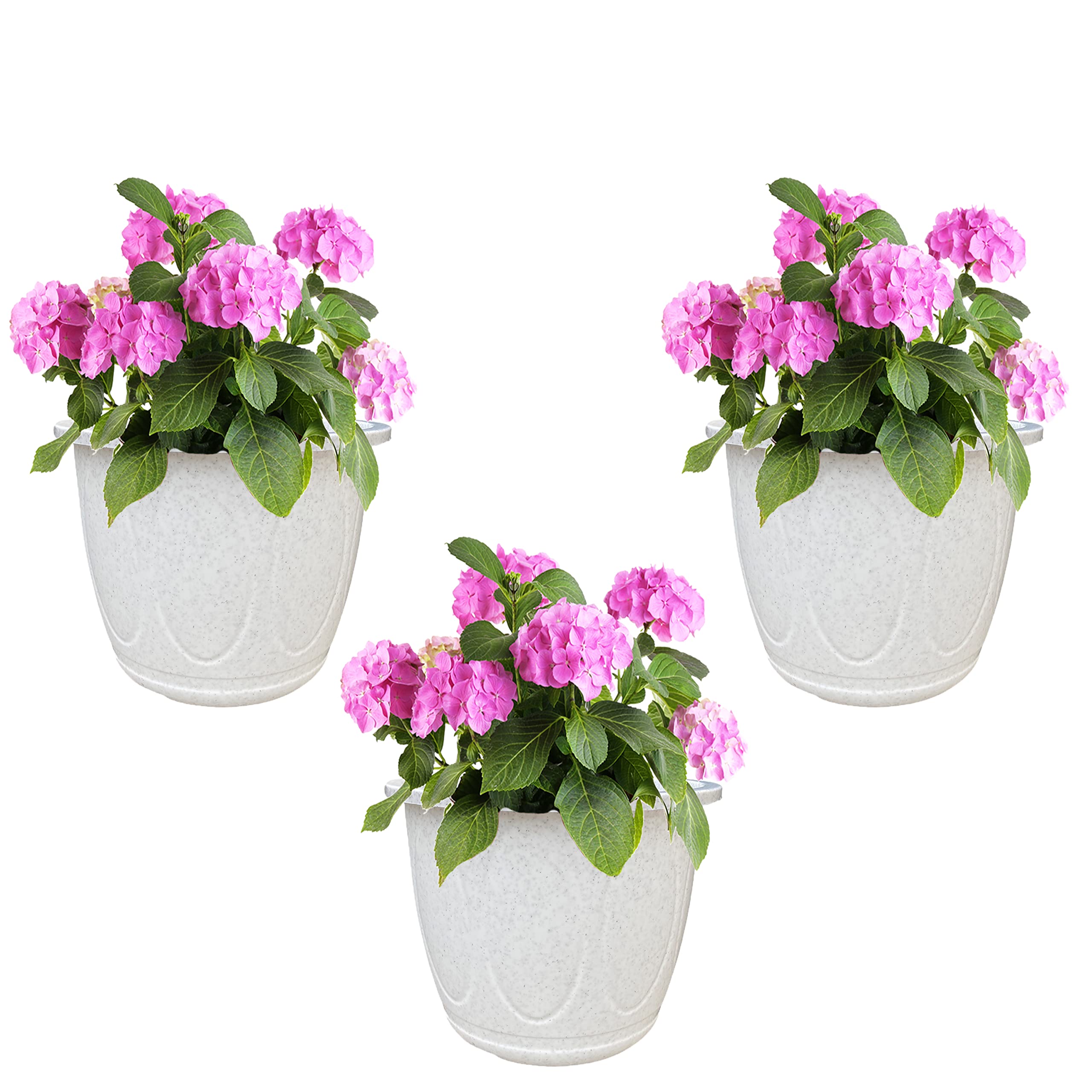 See full amazon price history chart for GREENRI Eco 8 Inches (Pack of 3) Heavy Duty Plastic Planters Pots, UV Resistant Flower Pot for Indoor & Outdoor Use, Flawless Planters Pot Set for Home, Balcony & Garden Décor (Marble White) GREENRI Eco 8 Inches (Pack of 3) Heavy Duty Plastic Planters Pots, UV Resistant Flower Pot for Indoor & Outdoor Use, Flawless Planters Pot Set for Home, Balcony & Garden Décor (Marble White) (B0B77L6X44) Amazon Price History, Amazon Price Tracker