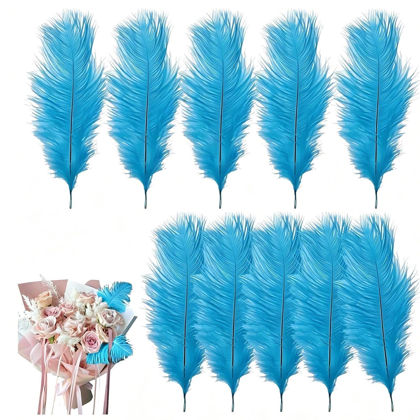 10 Pcs Ostrich Feathers, 20-25cm Large Fluffy Feather, Natural Feathers for Crafting, Christmas Tree Feather Decorations, for Wedding Office Bedroom Living Room(Lake Blue)