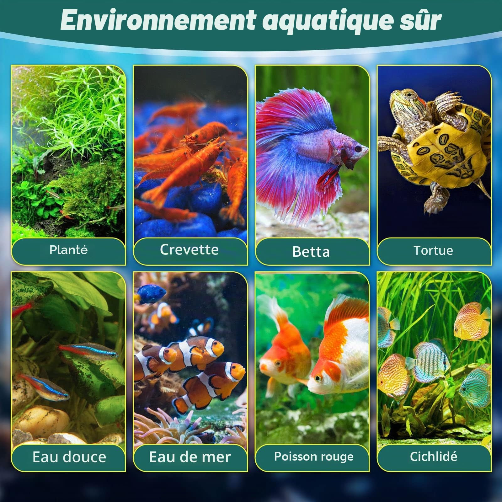 Betta Kit d'aquarium autonettoyant avec lumière LED, filtre, chauffage, décorations et accessoires – Idéal pour système de culture hydroponique et aquaponie 9 l