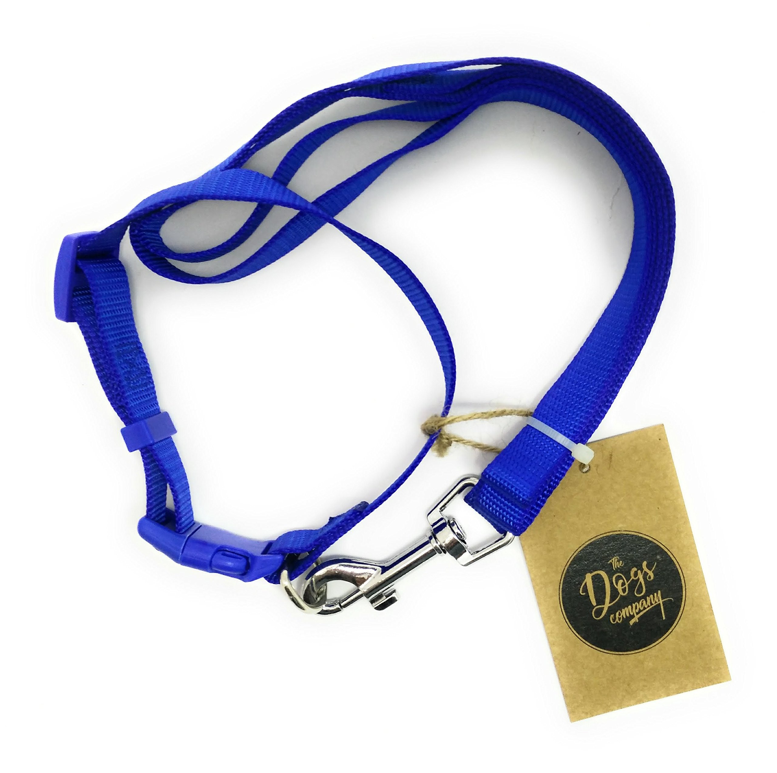 The Pets Company Leash and Collar Set Suitable for Small Dog Breeds, Blue (B07BGYQRRX) Amazon Price History, Amazon Price Tracker