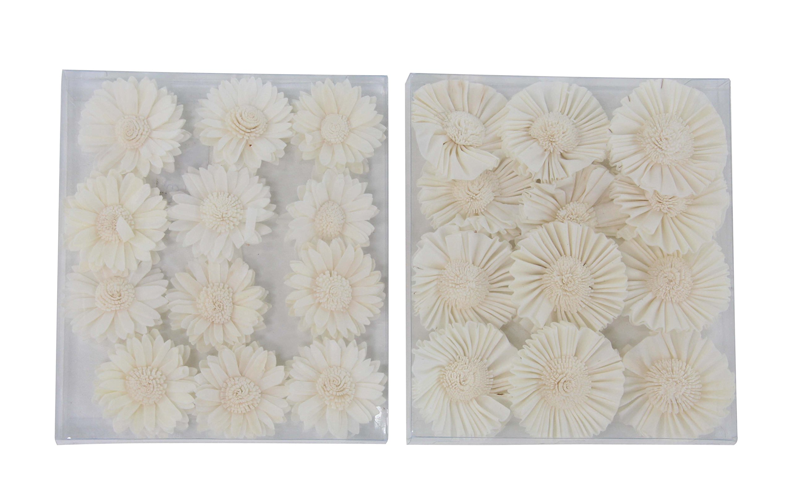 Deco 79 Sola Fleur Blanc : fleur séchée naturelle blanche pour vase