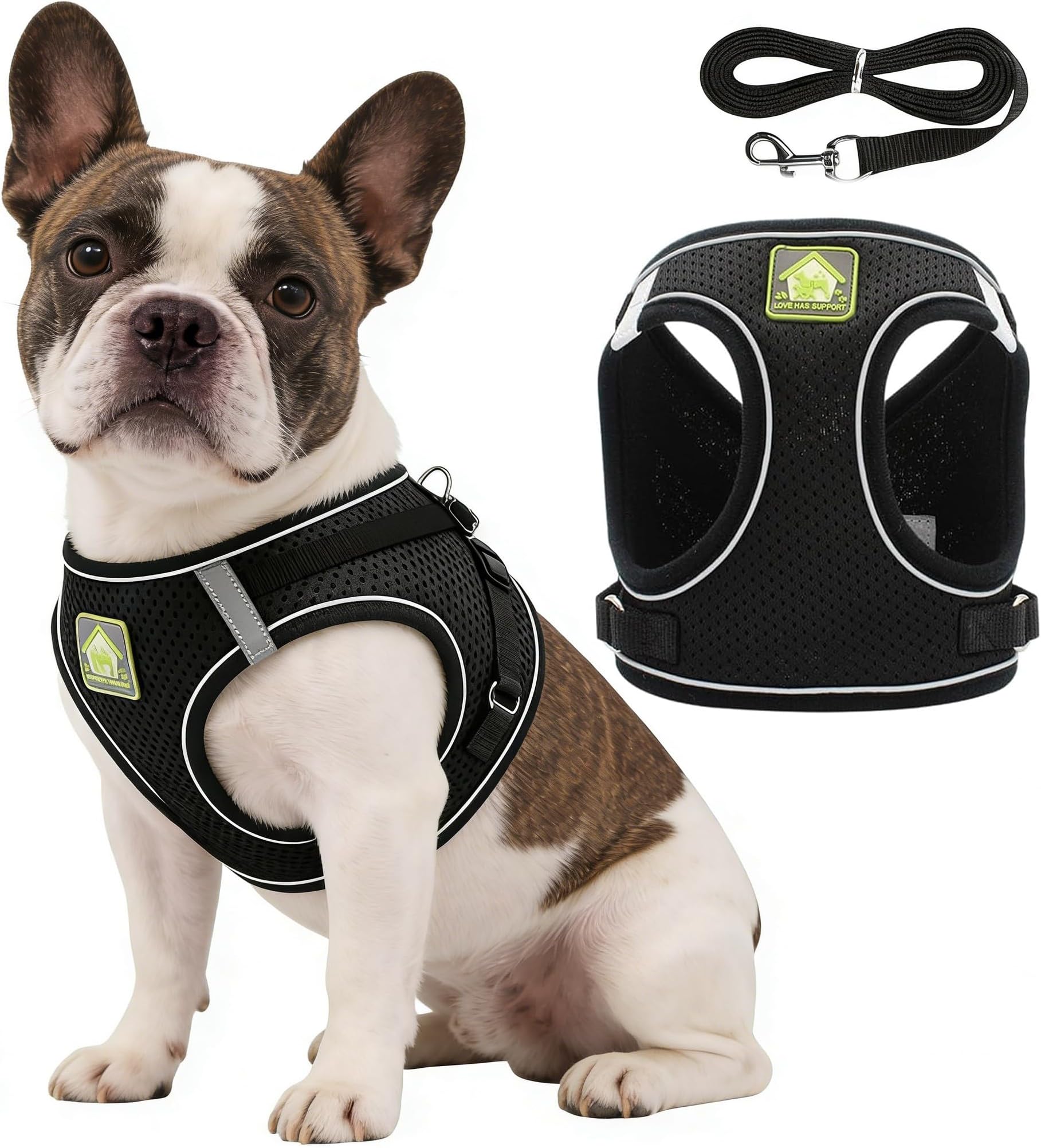 Dog Harness and Leash Set, No Pull Puppy Harness, Reflective Dog Harness – Step-in Vest Design, Breathable Mesh, Adjustable for Small Dogs & Cats, Black (S)