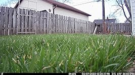 Review Image by Trashy Soraka