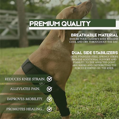 Miniatura 6 de Rodillera ajustable para perro para desgarro del ligamento cruzado anterior y rótula luxante, soporte para pierna trasera, displasia de cadera y