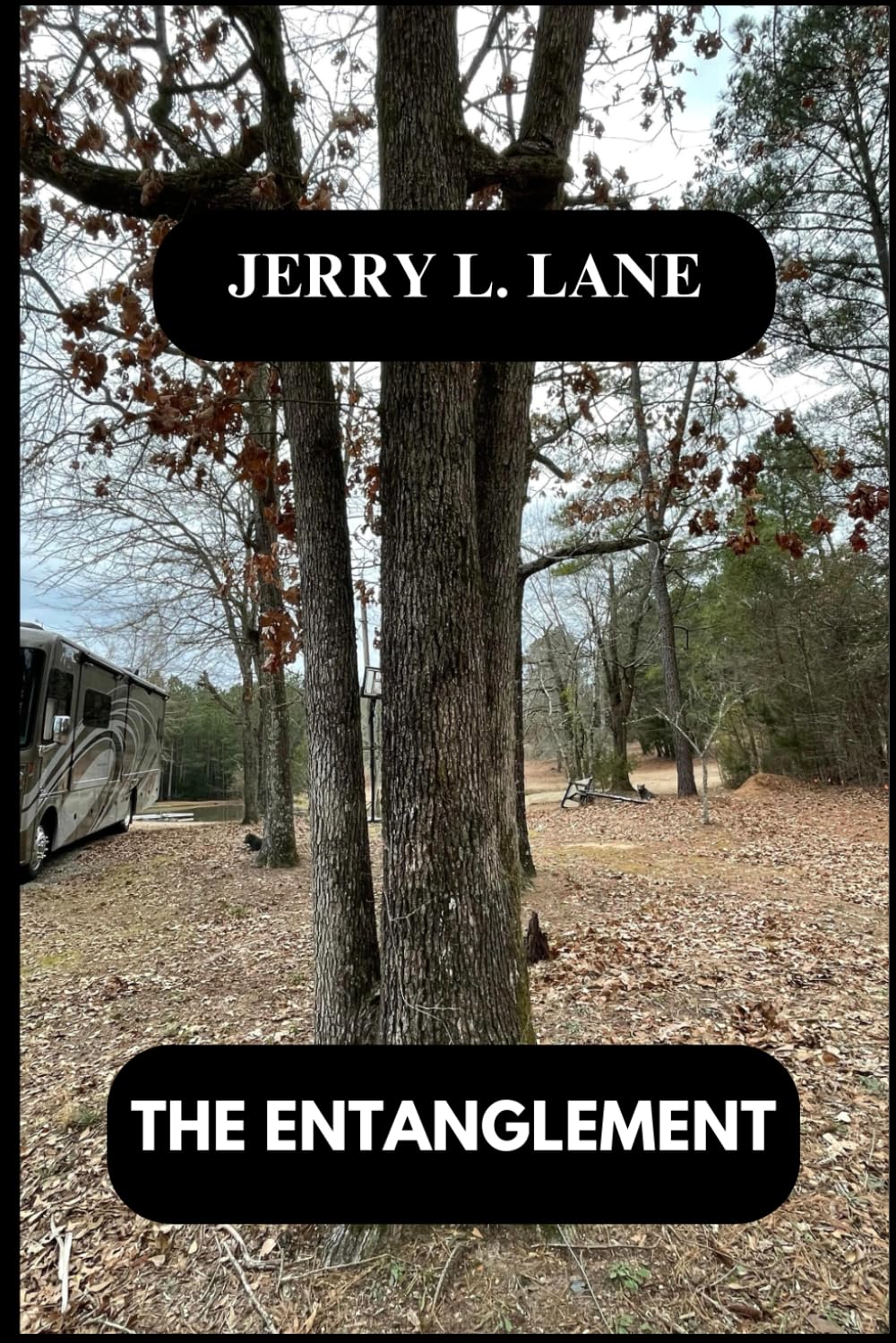 ENTANGLEMENT